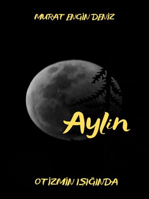 cover image of AYLİN